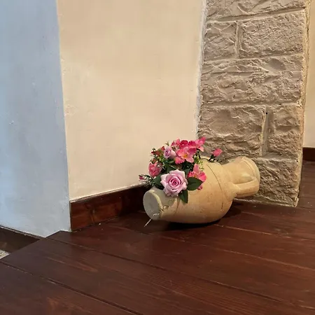 La Cattedrale Bisceglie